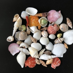 Cơ Sở Sản Xuất Mỹ Nghệ Thanh Thêm