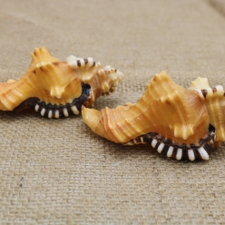 Cơ Sở Sản Xuất Mỹ Nghệ Thanh Thêm