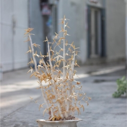 Cơ Sở Sản Xuất Mỹ Nghệ Thanh Thêm