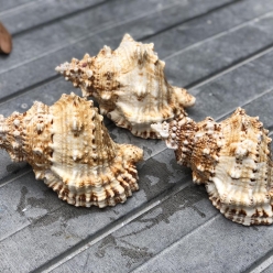 Cơ Sở Sản Xuất Mỹ Nghệ Thanh Thêm