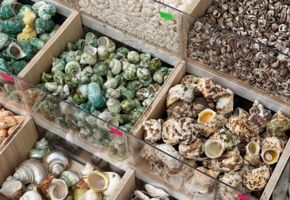 Cơ Sở Sản Xuất Mỹ Nghệ Thanh Thêm