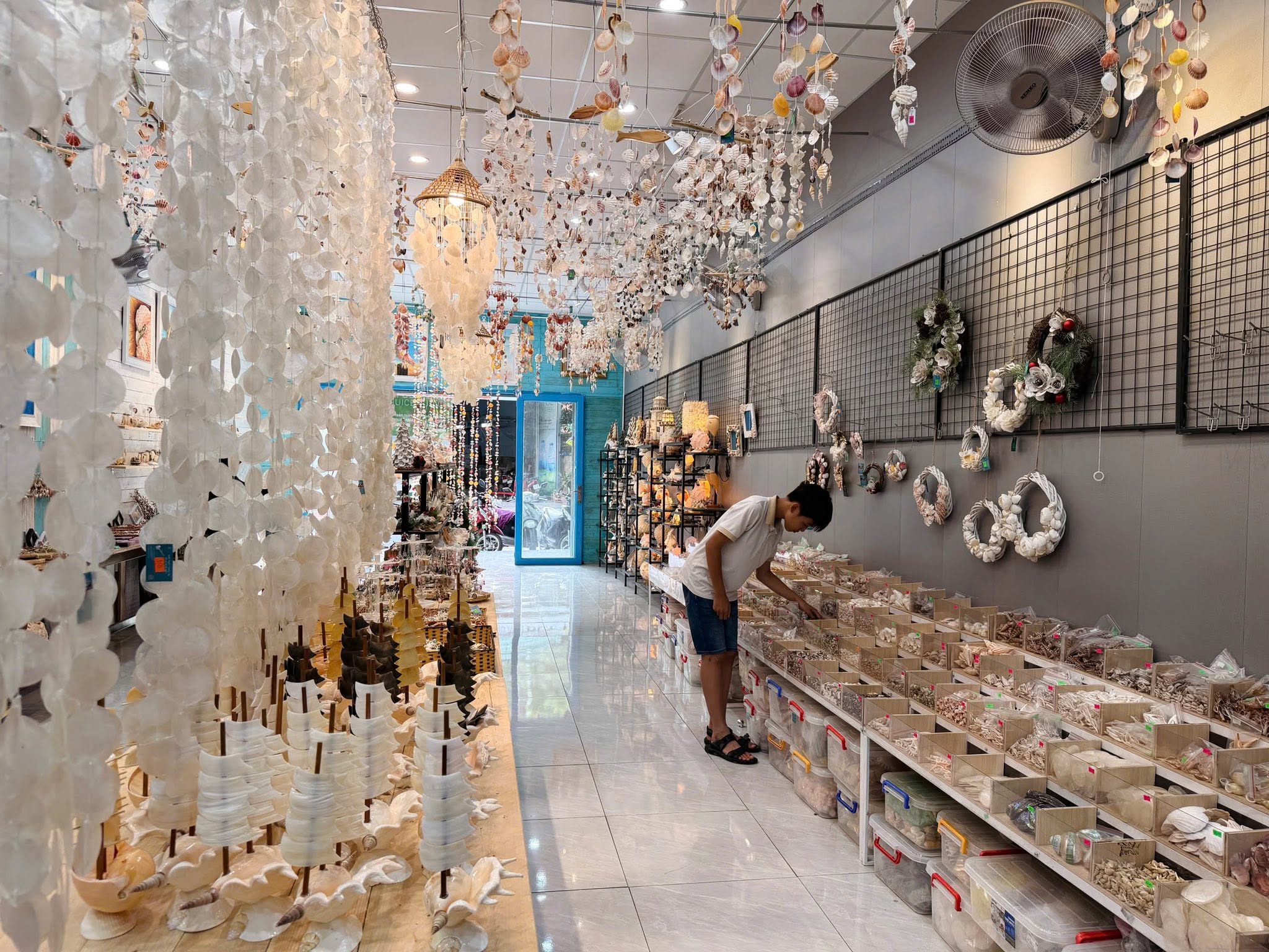 nhập sỉ vỏ ốc sò