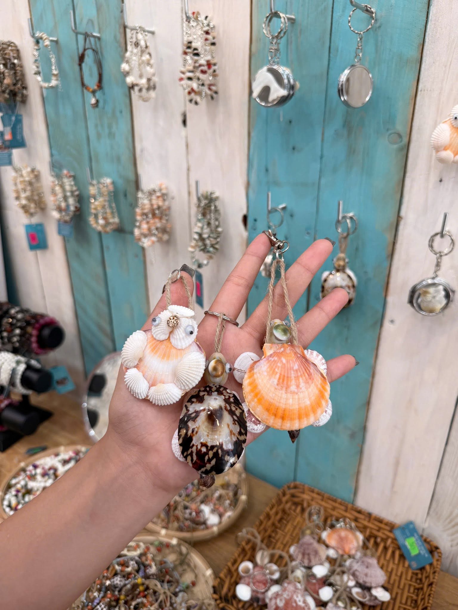 nhập sỉ vỏ ốc sò