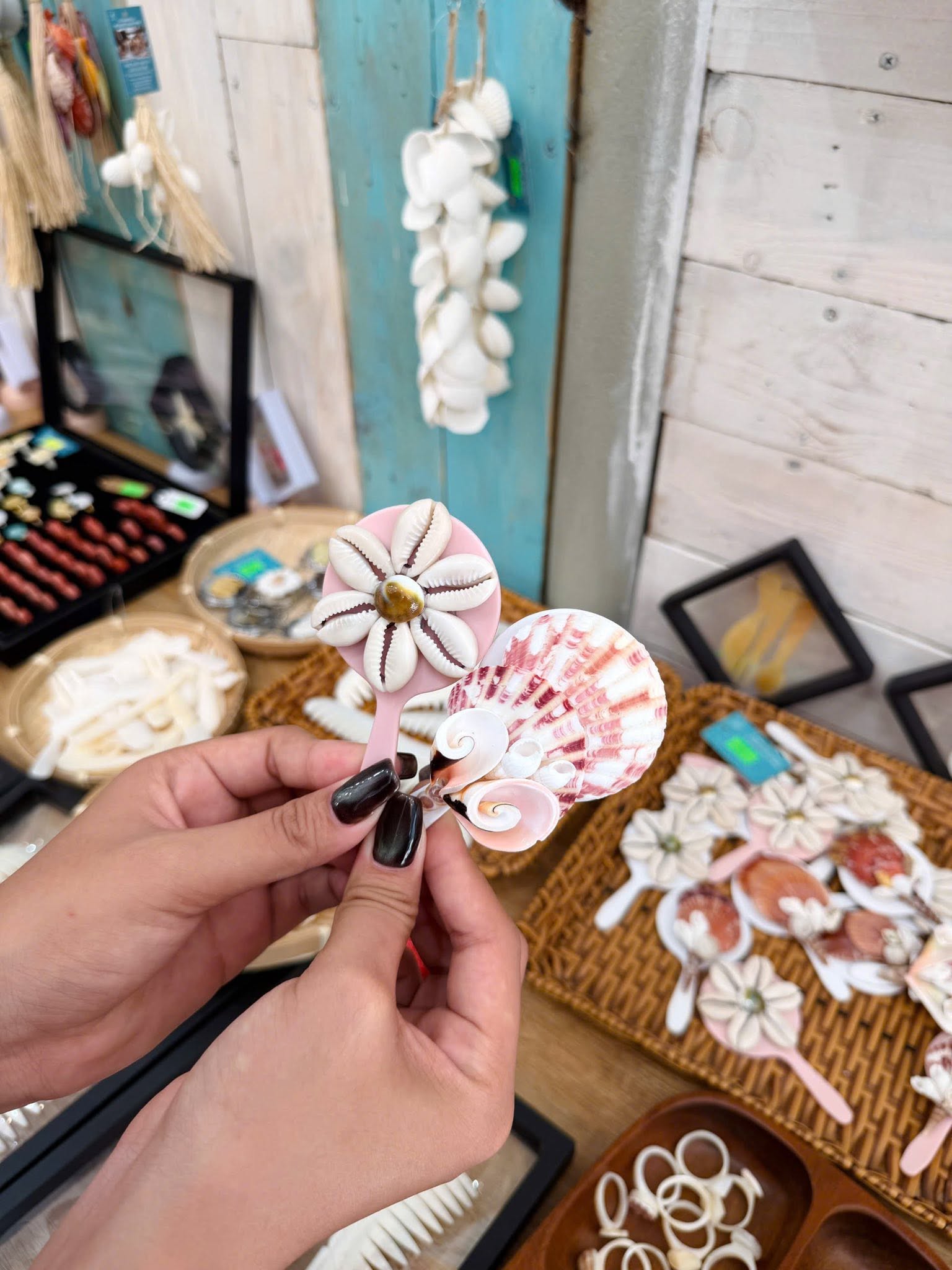 nhập sỉ vỏ ốc sò